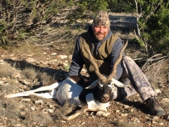 black buck antelope