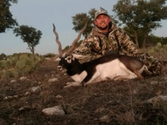 black buck antelope2