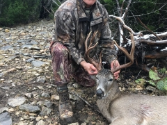 whitetail5